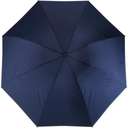 Reversible, foldable, automatic umbrella (V0667-04)