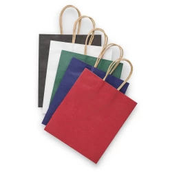 Paper bag (V0298-06)-4