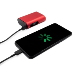 Power bank 10000 mAh | Walt (V1379-05)-4