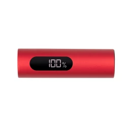 Power bank 10000 mAh | Walt (V1379-05)-12