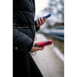 Power bank 10000 mAh | Walt (V1379-15)-15