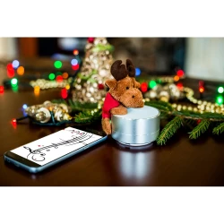 Wireless speaker, radio | Silas (V3879-03)-2
