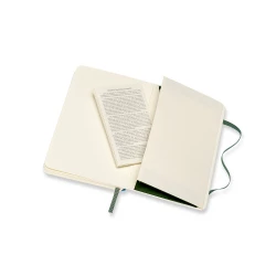 MOLESKINE Notebook approx. A6 (VM205-25)-3