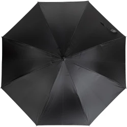 Automatic umbrella (V0670-03)-4