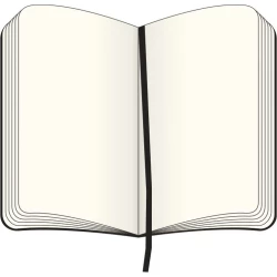 MOLESKINE Notatnik ok. A5 (VM302-27)-6