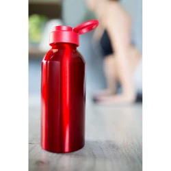 Sportflasche 585 ml | Pravleen (VA103-05)-8