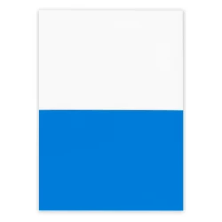 Electrostatic sticky notes | Rolly (VA126-11)-3