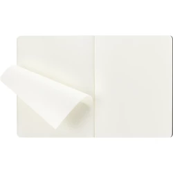 MOLESKINE Cahier Journal ca. B5 (VM041-03)-3
