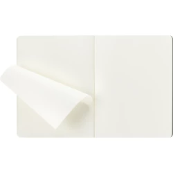 MOLESKINE Cahier Journal ca. B5 (VM041-25)-3