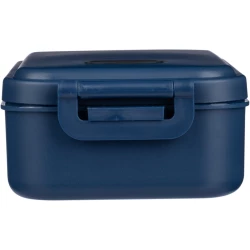 Lunch box (VA869-11)-15