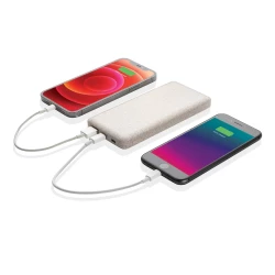 Power bank 10000 mAh (P322.299)-2
