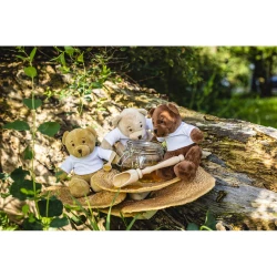 Plush teddy bear | Siddy Brown (HE765-16)-5
