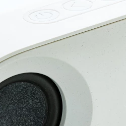Głośnik bezprzewodowy 10W Oregon (P329.619)-5